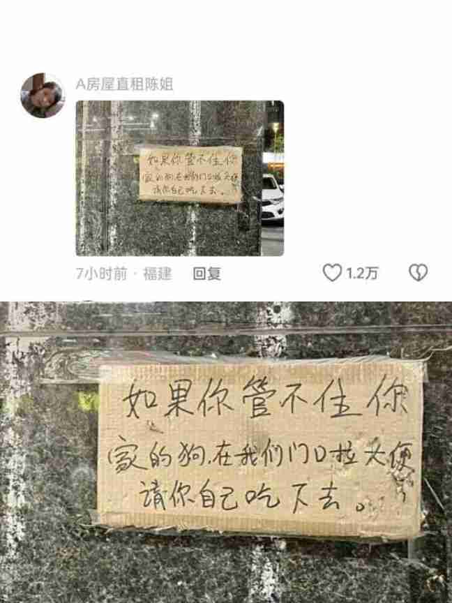 Word文档图片
