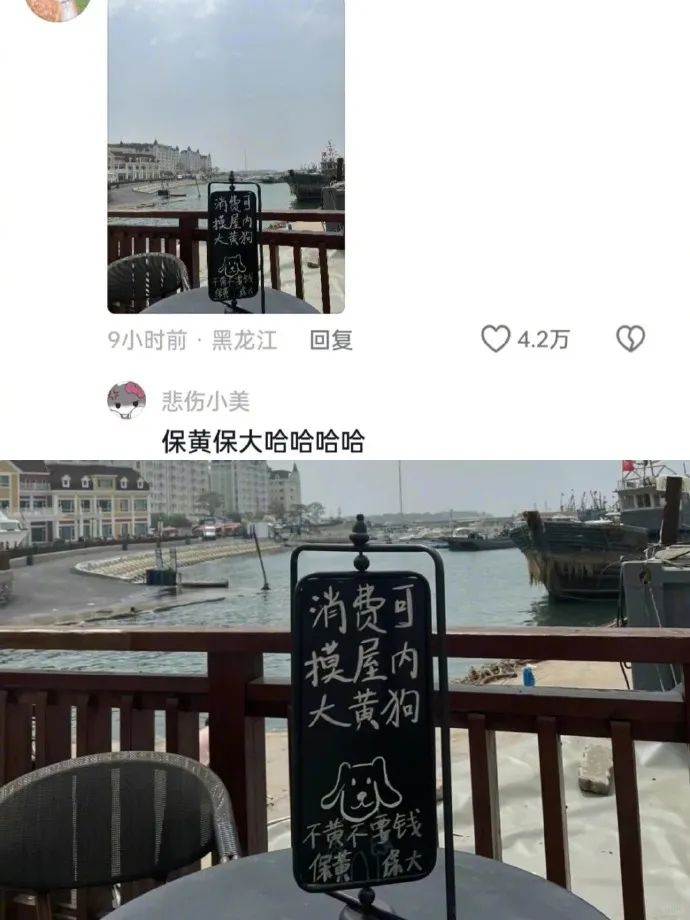 Word文档图片